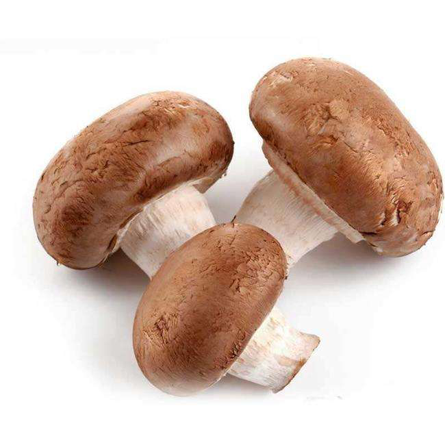 產(chǎn)品圖片8.png